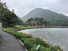 -广州市石门国家森林公园