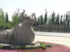 -永定河休闲森林公园