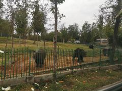 -秦皇岛野生动物园