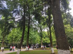-邓小平故里