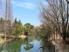 -昆山城市生态森林公园