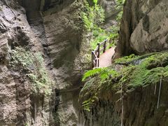 -龙水峡地缝景区