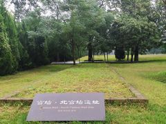 -汉长安城未央宫国家考古遗址公园