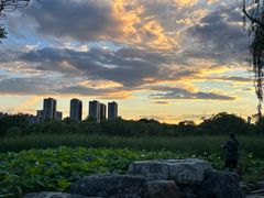 -太阳宫公园