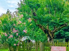 -南山风景名胜区