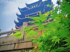 -黄鹤楼公园(黄鹤楼)