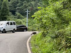 -西岭雪山大飞水景区
