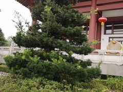 -安仁古镇