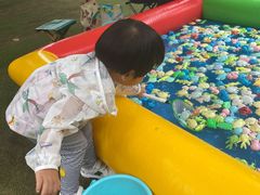-1982农场