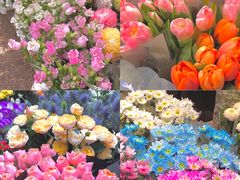 -双季花艺园艺市场(浦东店)