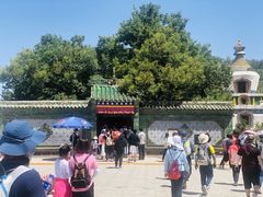 -塔尔寺