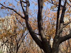 -苏州河梦清园环保主题公园