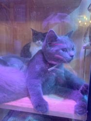 -青木造型HAIR·あおき髪を刈る潮人店