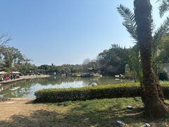 -江心屿景区