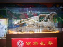 -诸城市恐龙博物馆