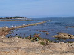 -青岛第二海水浴场