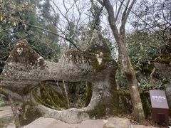 -山王坪喀斯特国家生态公园