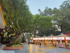 -广州长隆国际大马戏