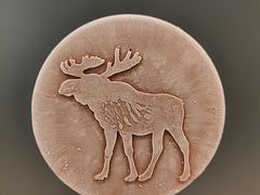 -Abercrombie & Fitch(天环广场店)