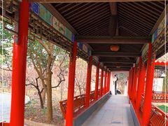 -南汇桃花村