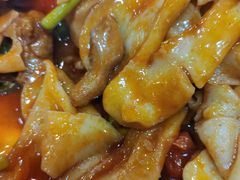 -后卫寨猫耳朵(后卫寨店)