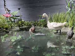 -溱湖国家湿地公园