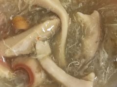 -香港食盈碗仔翅(黄边旗舰店)