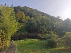 -森林公园(尖草坪区)