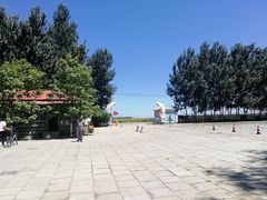 -白渔泡湿地公园