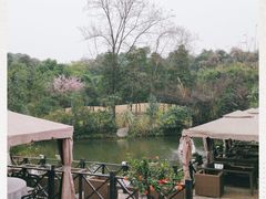 -茅庐·川粤精品私房菜(金沙遗址店)