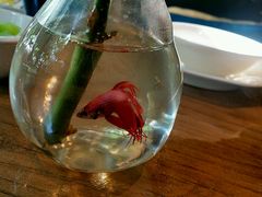 -臻味私厨(国际社区店)