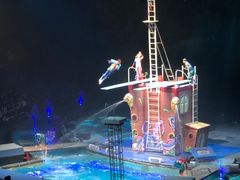 -广州长隆国际大马戏