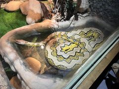 -杭州野生动物世界