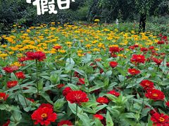 -长春公园(普阳街道)