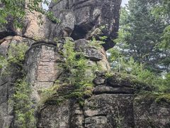-汤旺河林海奇石景区