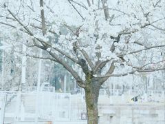 -国际非物质文化遗产博览园