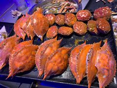 -奔海甄选·活鲜刺身铁板烧自助(太原里店)