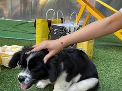 -七彩云南第壹城
