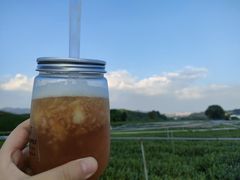 -龙坞茶村