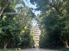 -灵谷景区