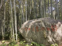 -上海醉白池公园