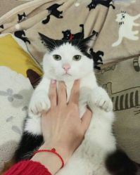 点击看大图 -厦门美莱整形美容医院