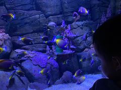 -成都浩海立方海洋公园