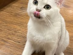 -大妙火锅·非物质文化遗产(东湖公园店)