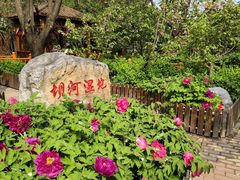 -太阳宫公园