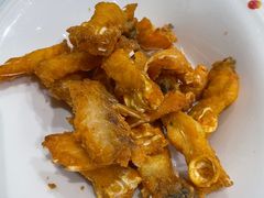 -港升鱼师傅·中山脆肉鲩