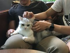 -咖法森林·咖啡  酒吧(天河店)