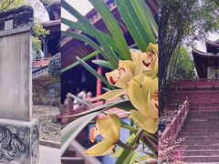 -青羊宫