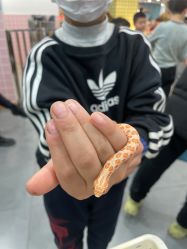 -Moni星球萌宠·小马宝莉·灵蛇·高端高阶全萌宠互动体验俱乐部(红豆国际广场店)