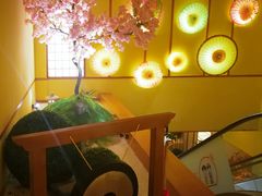 -汤泉良子(金源店)